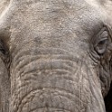 Tanzania 20080824 104323