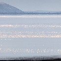 Tanzania 20080824 113903