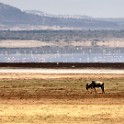 Tanzania 20080824 122037