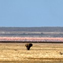 Tanzania 20080824 130431