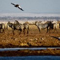 Tanzania 20080824 152738