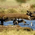 Tanzania 20080824 153427