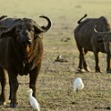 Tanzania 20080824 155221