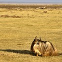 Tanzania 20080824 160111
