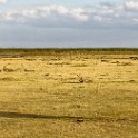 Tanzania 20080824 160224
