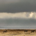 Tanzania 20080825 055653