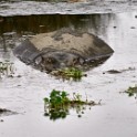 Tanzania 20080825 064848