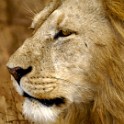 Tanzania 20080825 074730