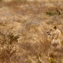 Tanzania 20080825 080655