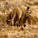 Tanzania 20080825 081813