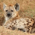 Tanzania 20080825 090431