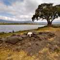 Tanzania 20080825 095319