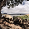 Tanzania 20080825 095752