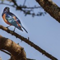 Tanzania 20080825 135106