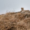 Tanzania 20080825 142812