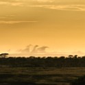 Tanzania 20080826 050655