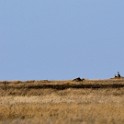 Tanzania 20080826 075539