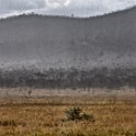 Tanzania 20080826 125842
