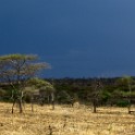 Tanzania 20080826 133825