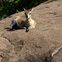Tanzania 20080826 140140