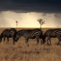 Tanzania 20080826 142900