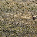 Tanzania 20080827 065628