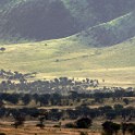 Tanzania 20080827 065929