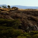 Tanzania 20080827 070433
