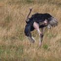 Tanzania 20080827 095147
