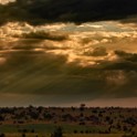 Tanzania 20080828 153017