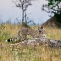 Tanzania 20080828 163600