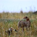 Tanzania 20080828 163752