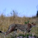 Tanzania 20080828 163938