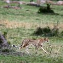 Tanzania 20080828 164102