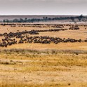 Tanzania 20080829 090120