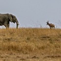 Tanzania 20080829 093429