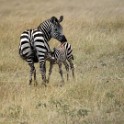 Tanzania 20080829 094114