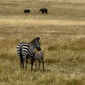 Tanzania 20080829 094224
