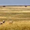 Tanzania 20080829 094352