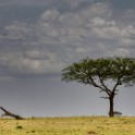 Tanzania 20080829 103425