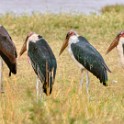 Tanzania 20080829 142438