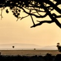 Tanzania 20080830 051020
