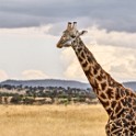 Tanzania 20080830 110825