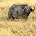 Tanzania 20080830 154418
