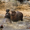 Tanzania 20080831 115455