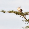 Tanzania 20080831 150851