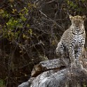 Tanzania 20080901 061220