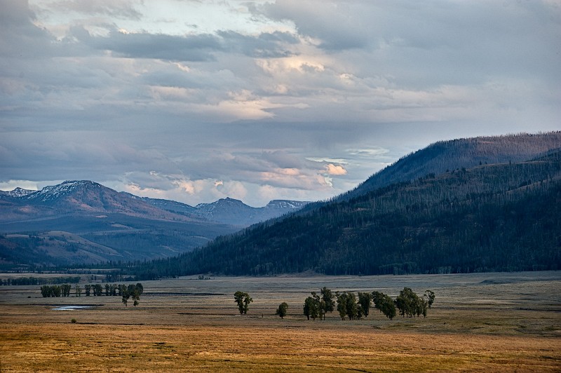 NW USA 2875