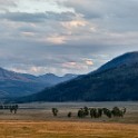 NW USA 2875